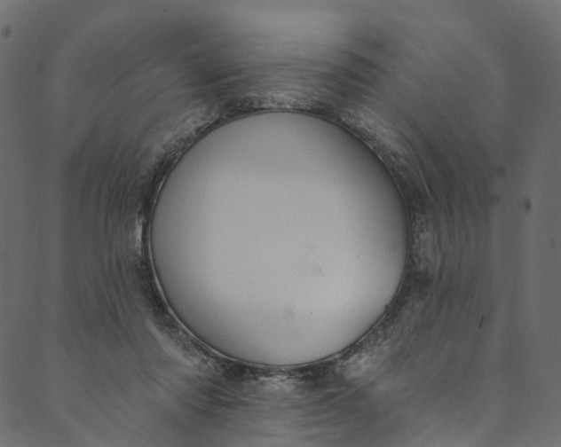 X0000089680310200707121255