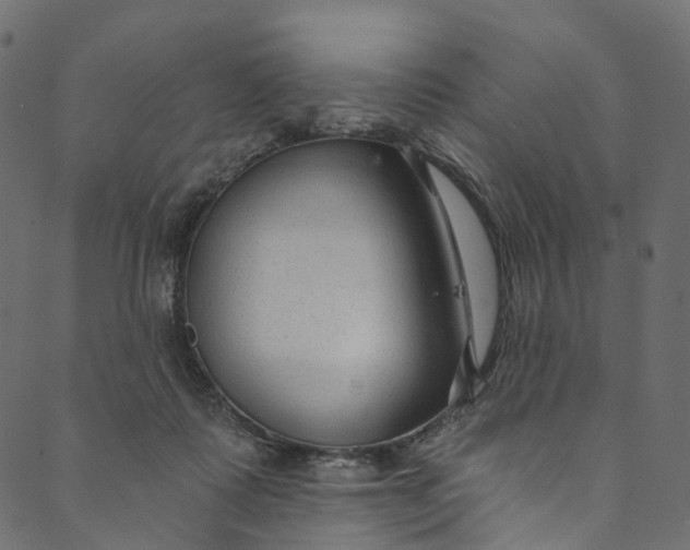 X0000089680315200707121255