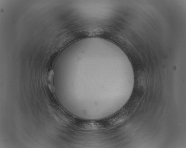 X0000089680316200707121255