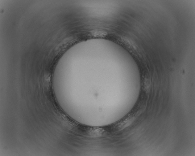X0000089680321200707121255