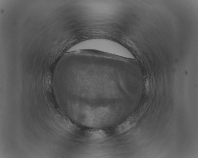 X0000089680322200707121255