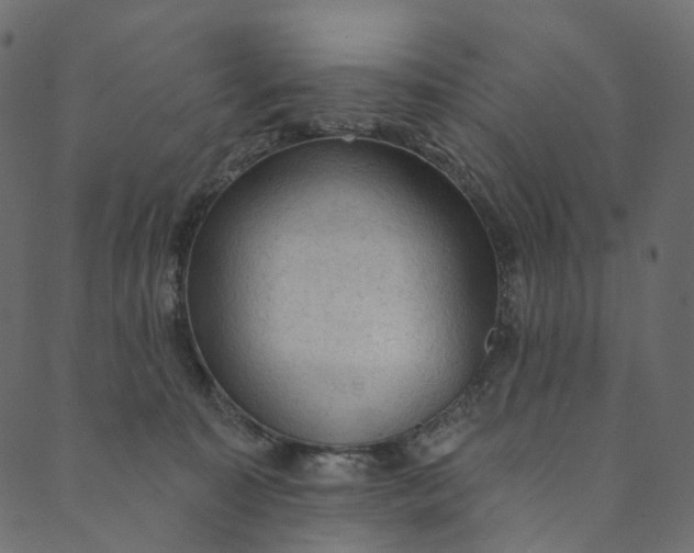 X0000089680323200707121255