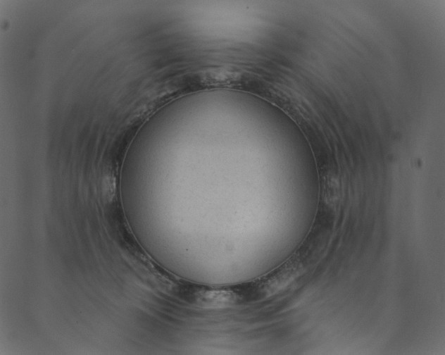 X0000089680324200707121255