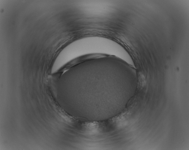 X0000089680325200707121255