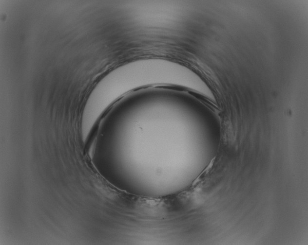 X0000089680329200707121255