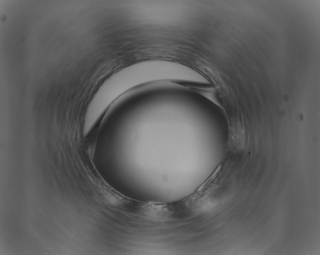 X0000089680333200707121255
