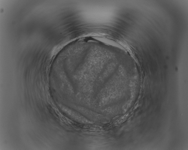 X0000089680337200707121254