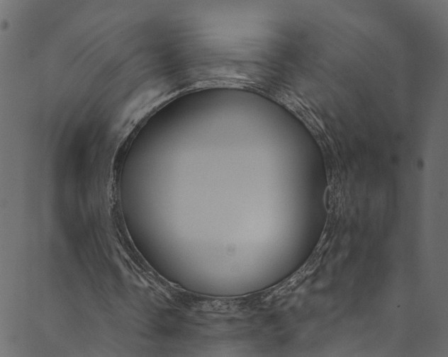 X0000089680338200707121254