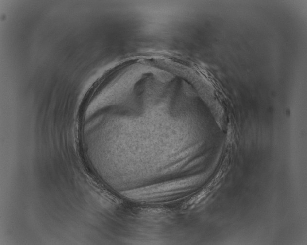 X0000089680342200707121254