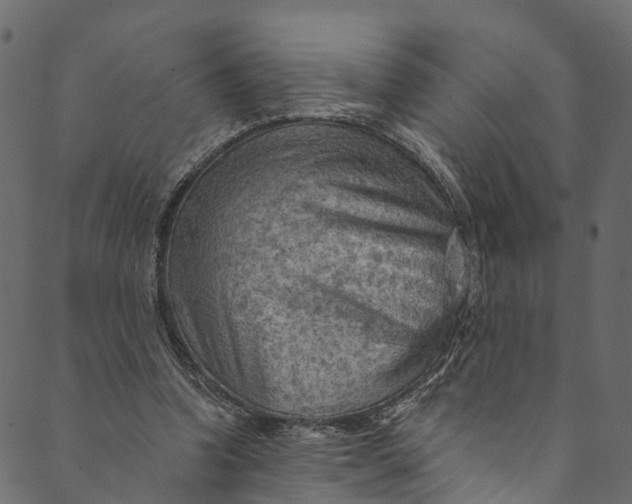 X0000089680346200707121254