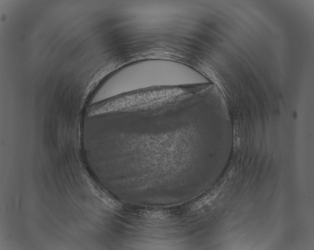 X0000089680349200707121254