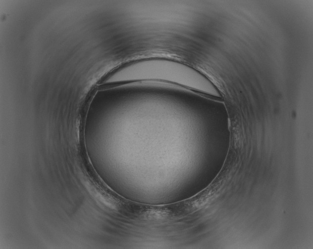 X0000089680350200707121254