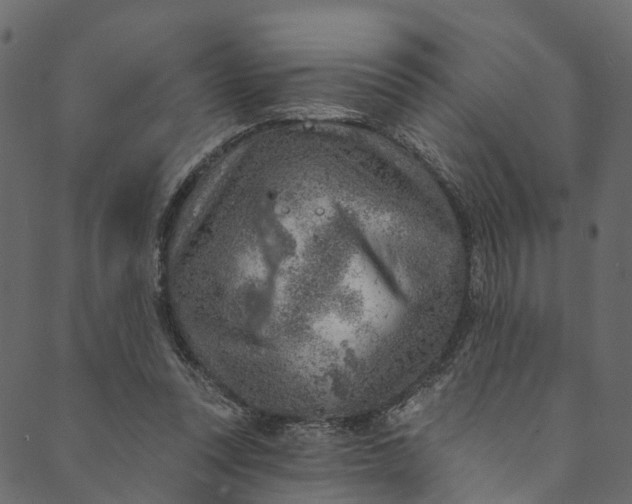 X0000089680351200707121254