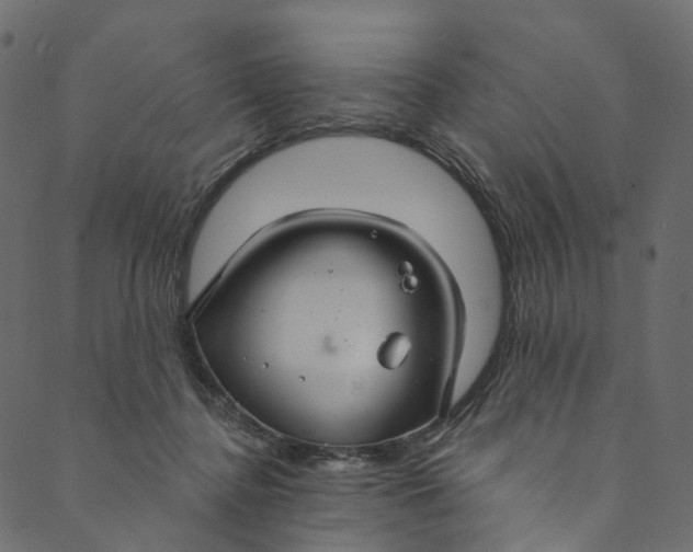 X0000089680364200707121255