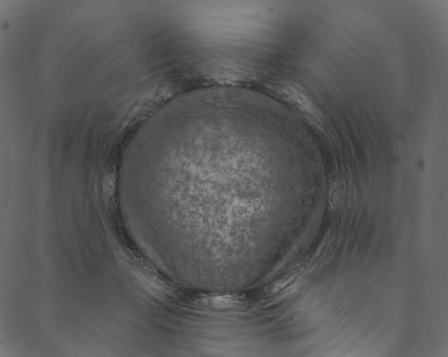 X0000089680365200707121255