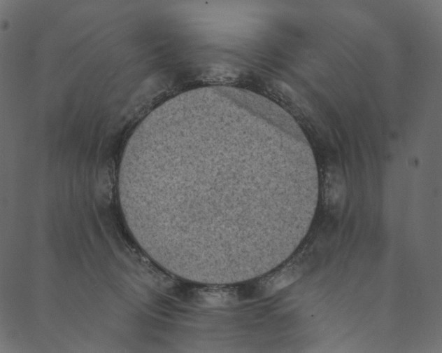 X0000089680370200707121255