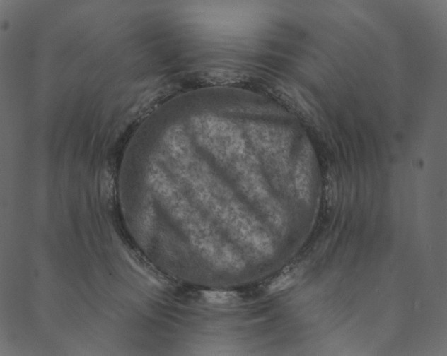 X0000089680371200707121255