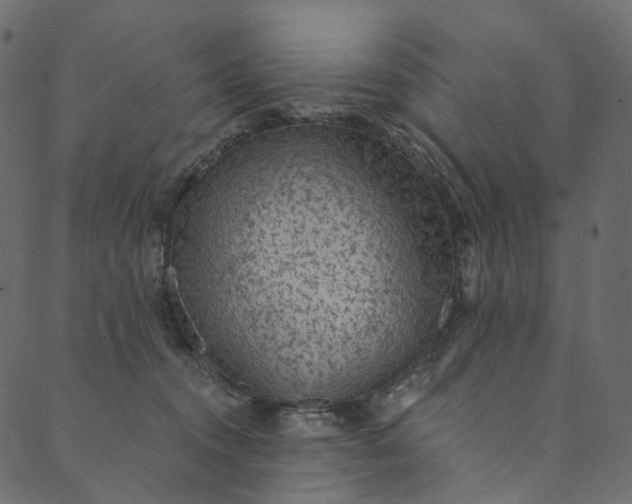 X0000089680372200707121255