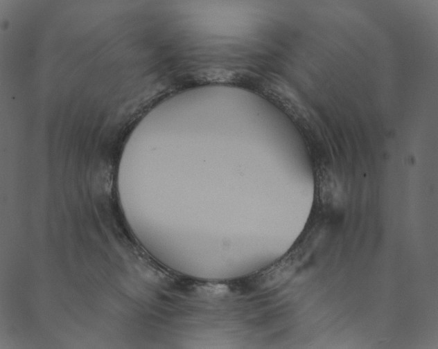 X0000089680374200707121255