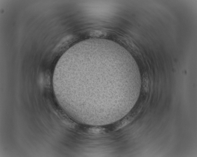 X0000089680375200707121255