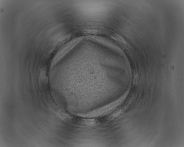 X0000089680377200707121255