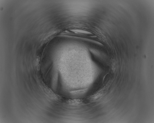 X0000089680378200707121255
