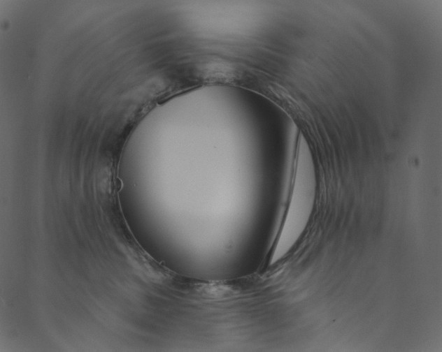 X0000089680379200707121255
