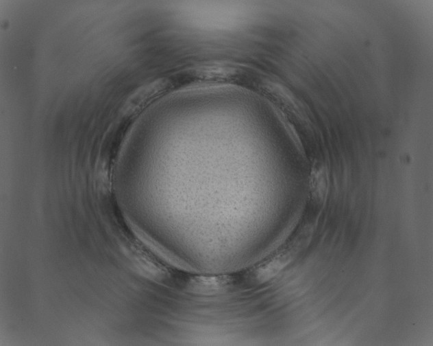 X0000089680381200707121255