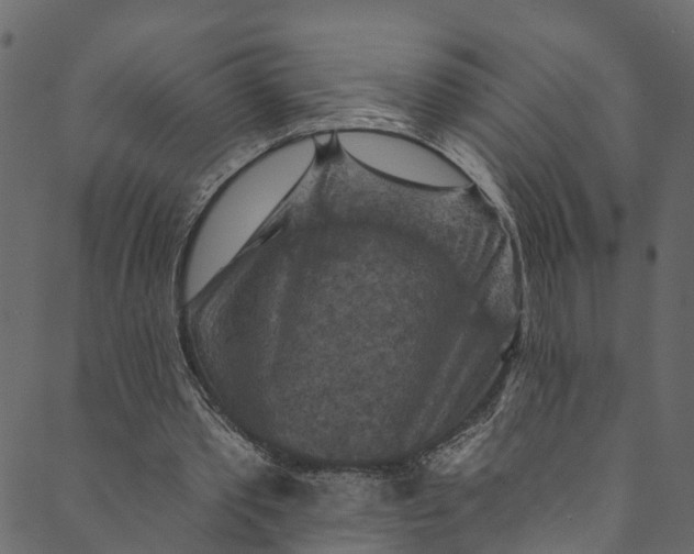 X0000089680389200707121254