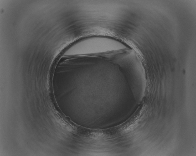 X0000089680391200707121254