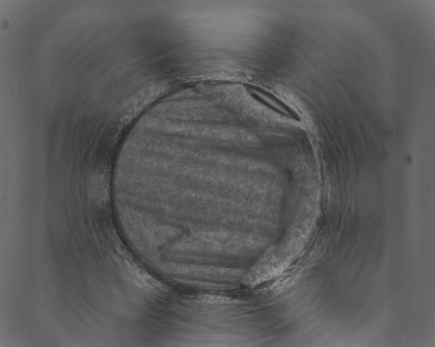 X0000089680393200707121254
