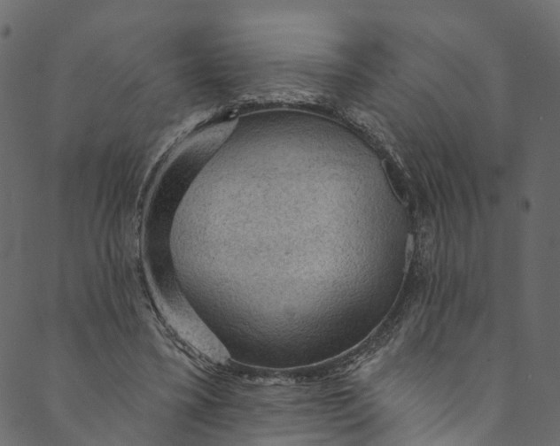 X0000089680395200707121254