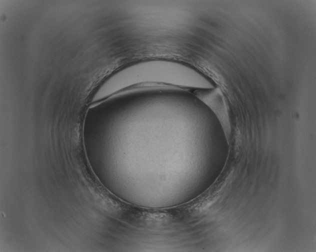 X0000089680401200707121254