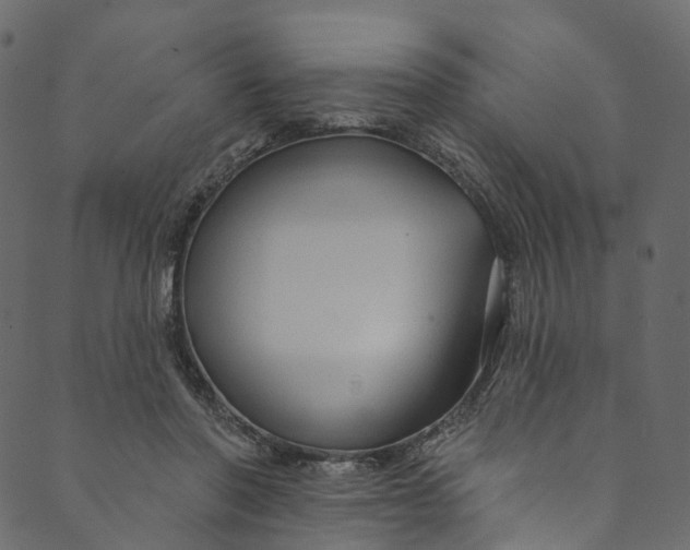 X0000089680406200707121254