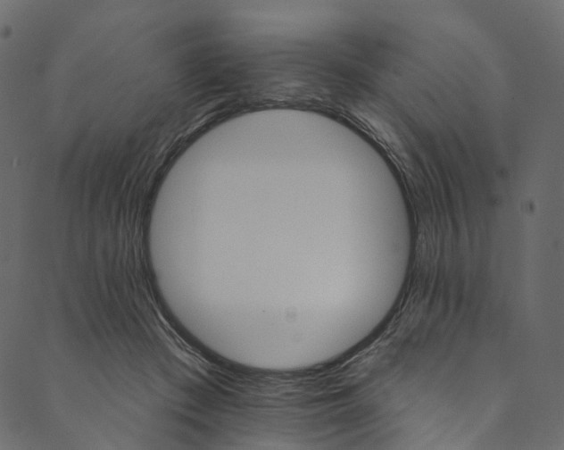 X0000089680409200707121254
