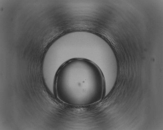 X0000089680411200707121254