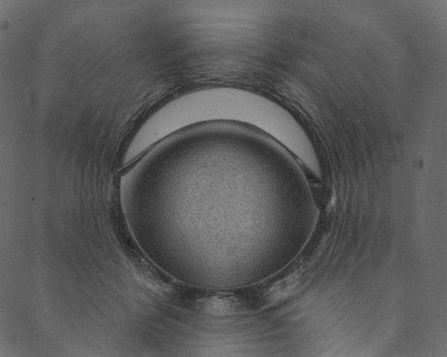 X0000089680412200707121254