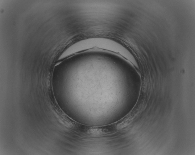X0000089680413200707121254