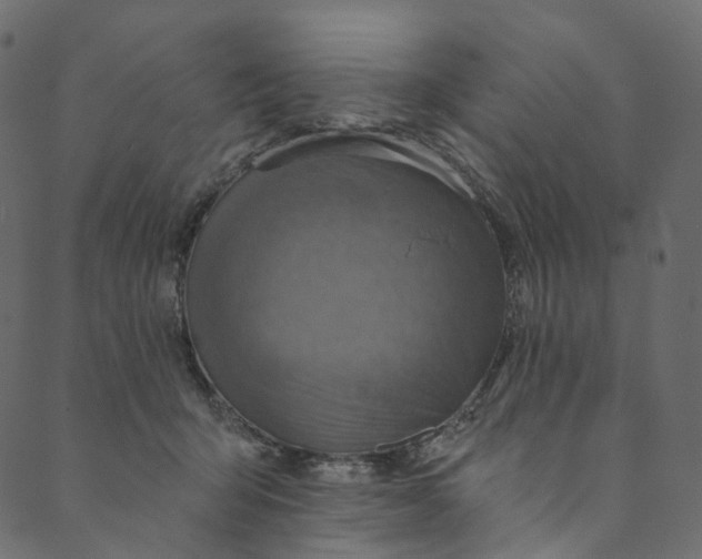 X0000089680415200707121254