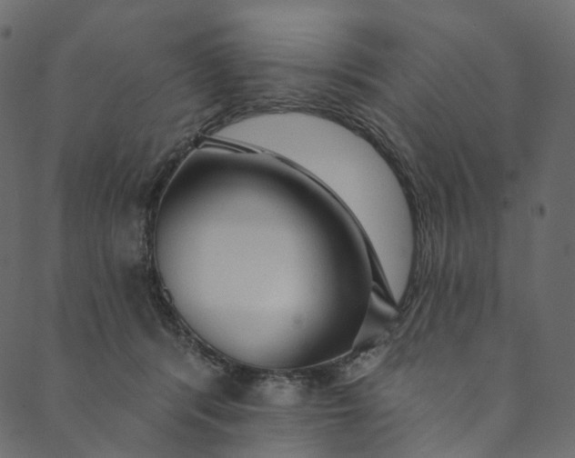 X0000089680416200707121254