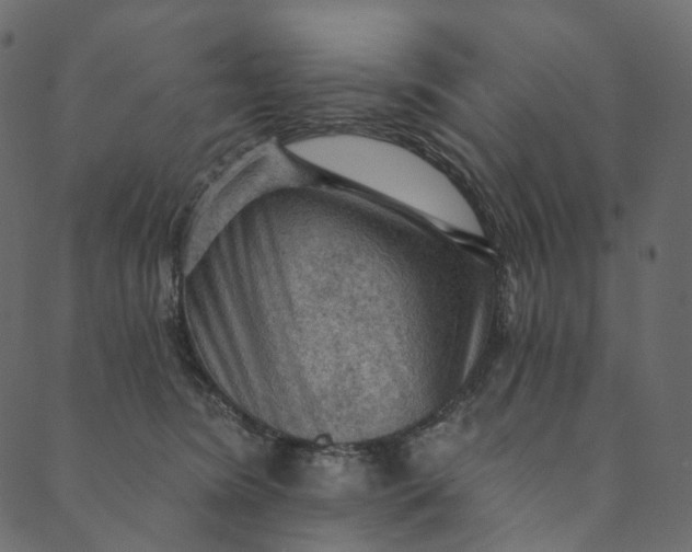 X0000089680420200707121254