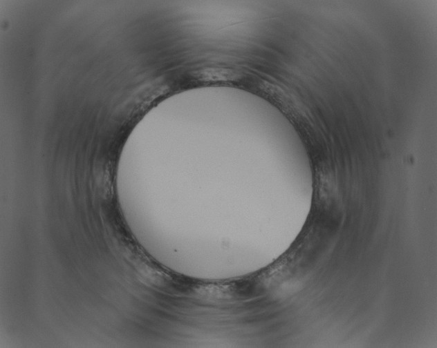 X0000089680422200707121254