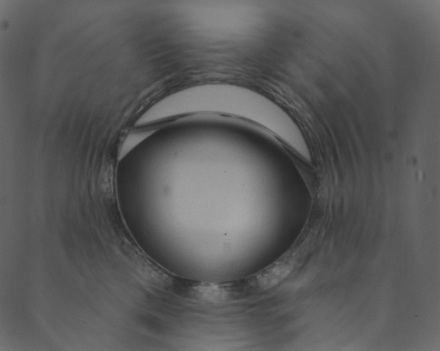 X0000089680425200707121254