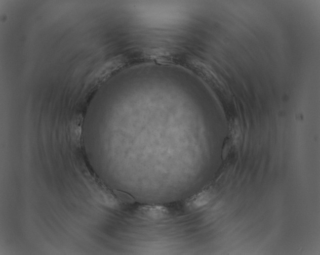 X0000089680427200707121253