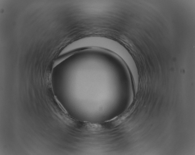 X0000089680429200707121253