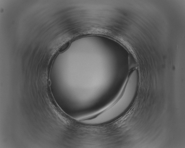 X0000089680437200707121253
