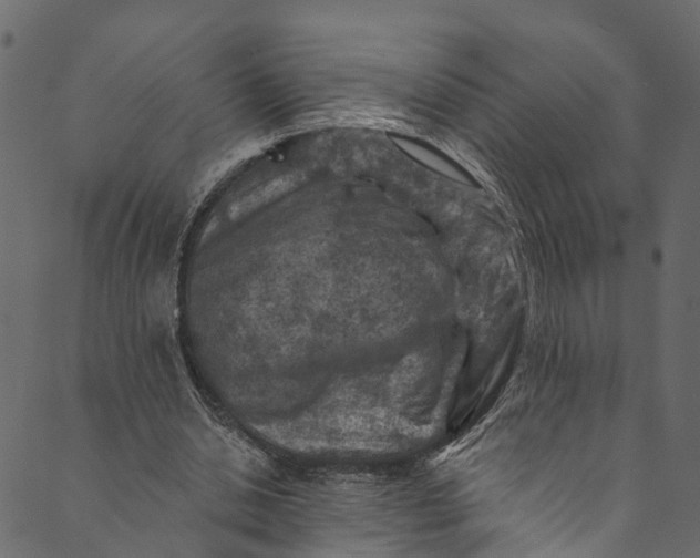 X0000089680438200707121253