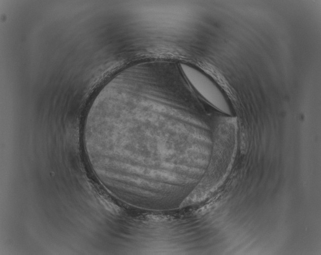 X0000089680442200707121253