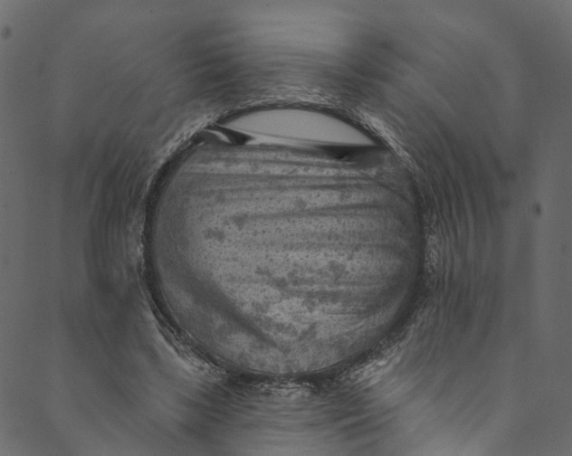 X0000089680443200707121253