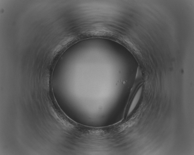 X0000089680446200707121253